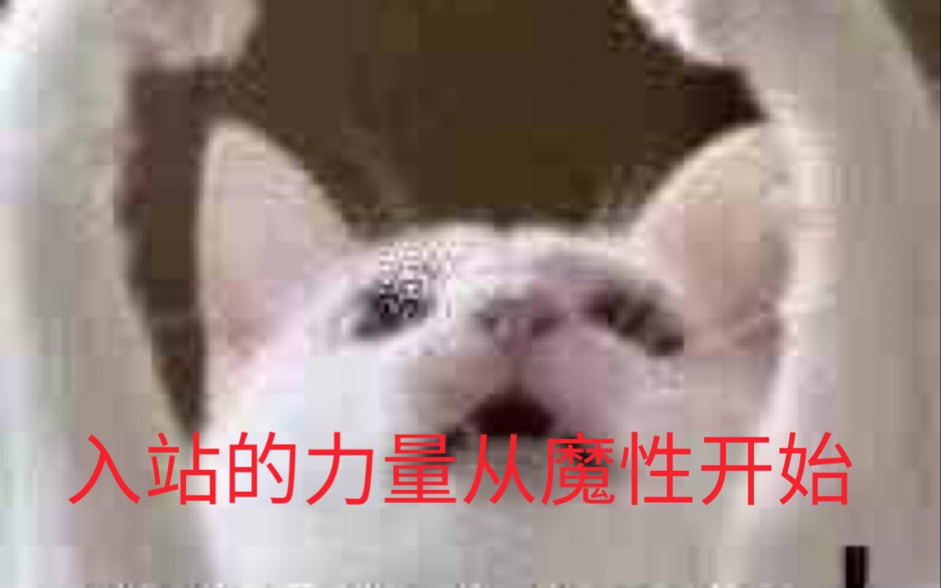 xiong新人的第一步!!!哔哩哔哩bilibili