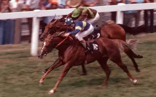 英皇锦标 搜索结果 哔哩哔哩 Bilibili