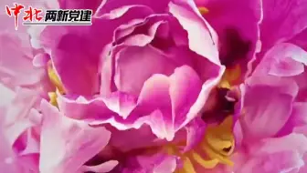 中北两新党建 二十四节气 立春