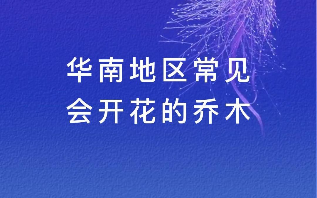 [图]华南地区会开花的乔木，你认识几种？