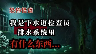 我是下水道检察员，排水系统里有什么东西...