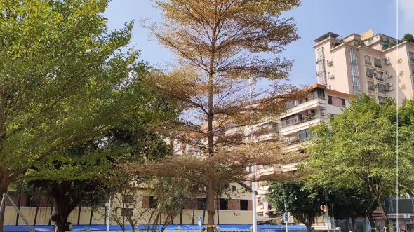 [图]在拥挤的城市里，某个角落，某片天空也可成为独有的风景。