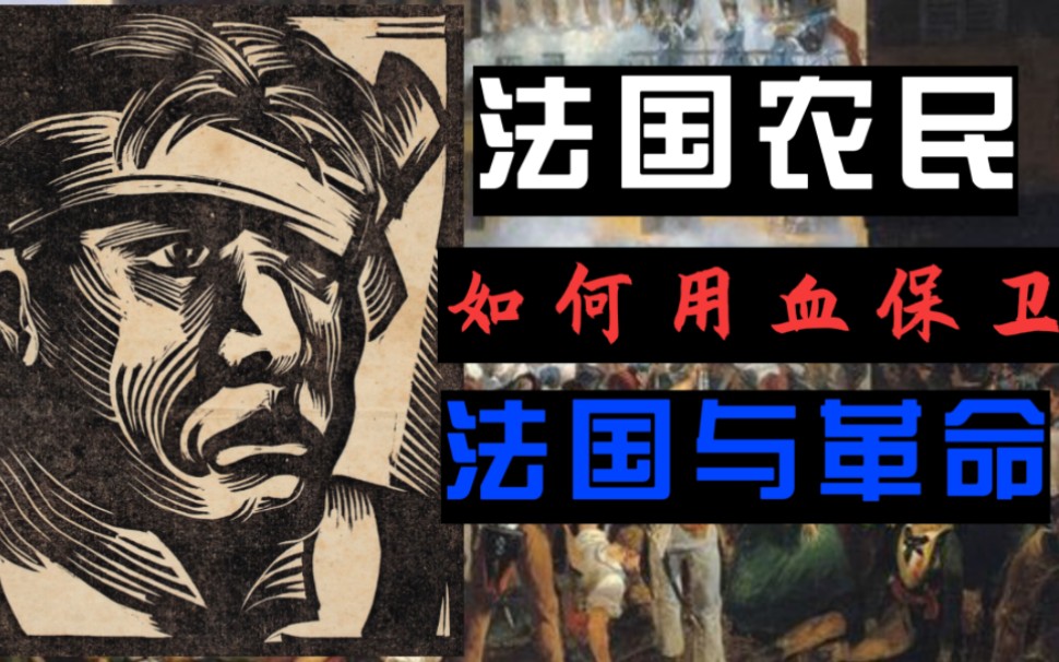 【法革史】法国大革命中的农民们(3):农民的鲜血与革命的法国哔哩哔哩bilibili