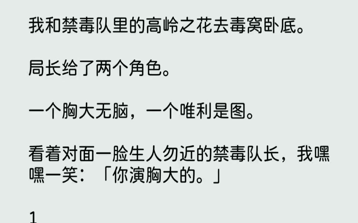 [图]【完结文】我和禁毒队里的高岭之花去毒窝卧底。局长给了两个角色。一个胸大无脑，一个...