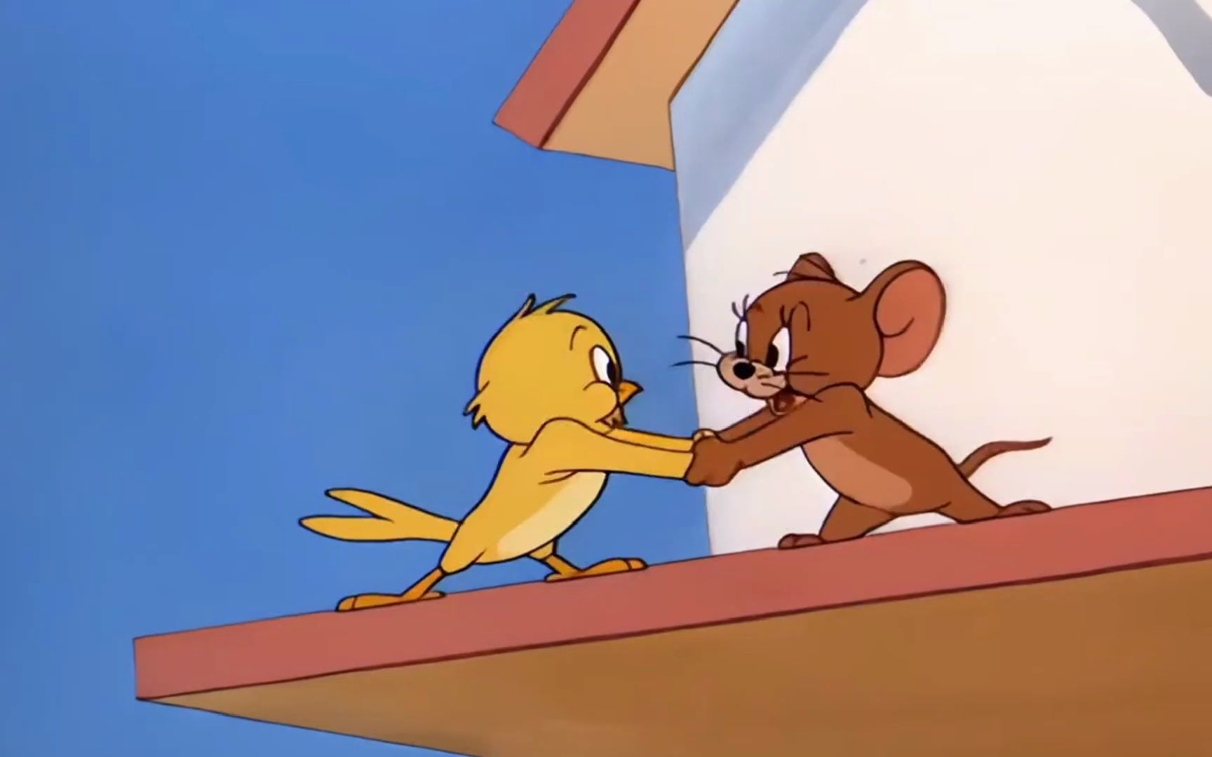 "汤姆:今天头有点痒痒,需要杰瑞帮忙挠一挠"#治愈系 #猫和老鼠 #怀旧