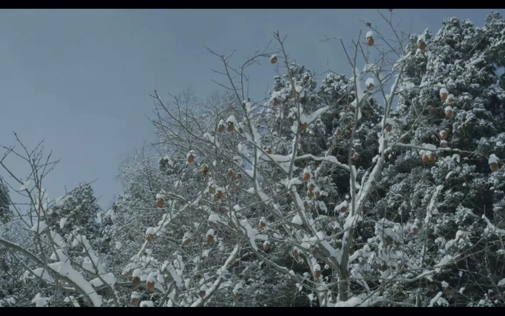 [图]北风其凉，雨雪其雱 ---《诗经·邶风·北风》