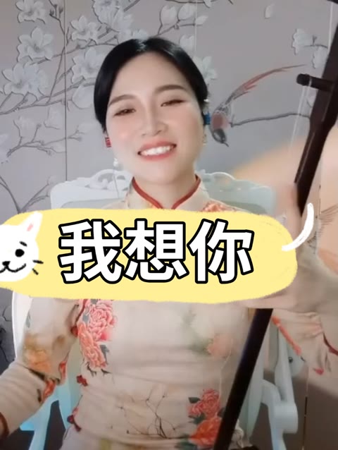 小丹老师二胡演奏《我想你》