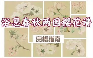 櫻の園 搜索结果 哔哩哔哩 Bilibili