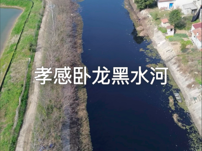 孝感卧龙黑水河，农民很受伤，恳请当地彻底解决用水问题，现在正是用水季节，不误农时