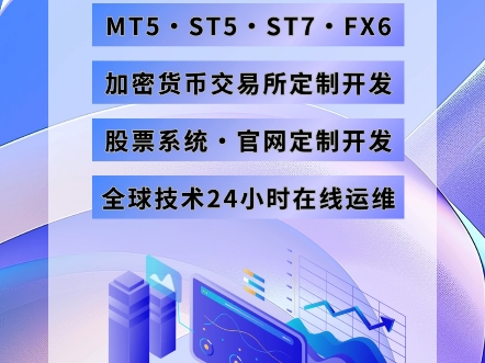 MT5白标|ST5|ST7|股票系统及加密货币交易所全套包网搭建,支持担保,全球顶级搭建商为您服务.哔哩哔哩bilibili