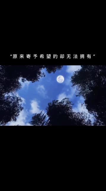 白月光与朱砂痣卡林巴图片