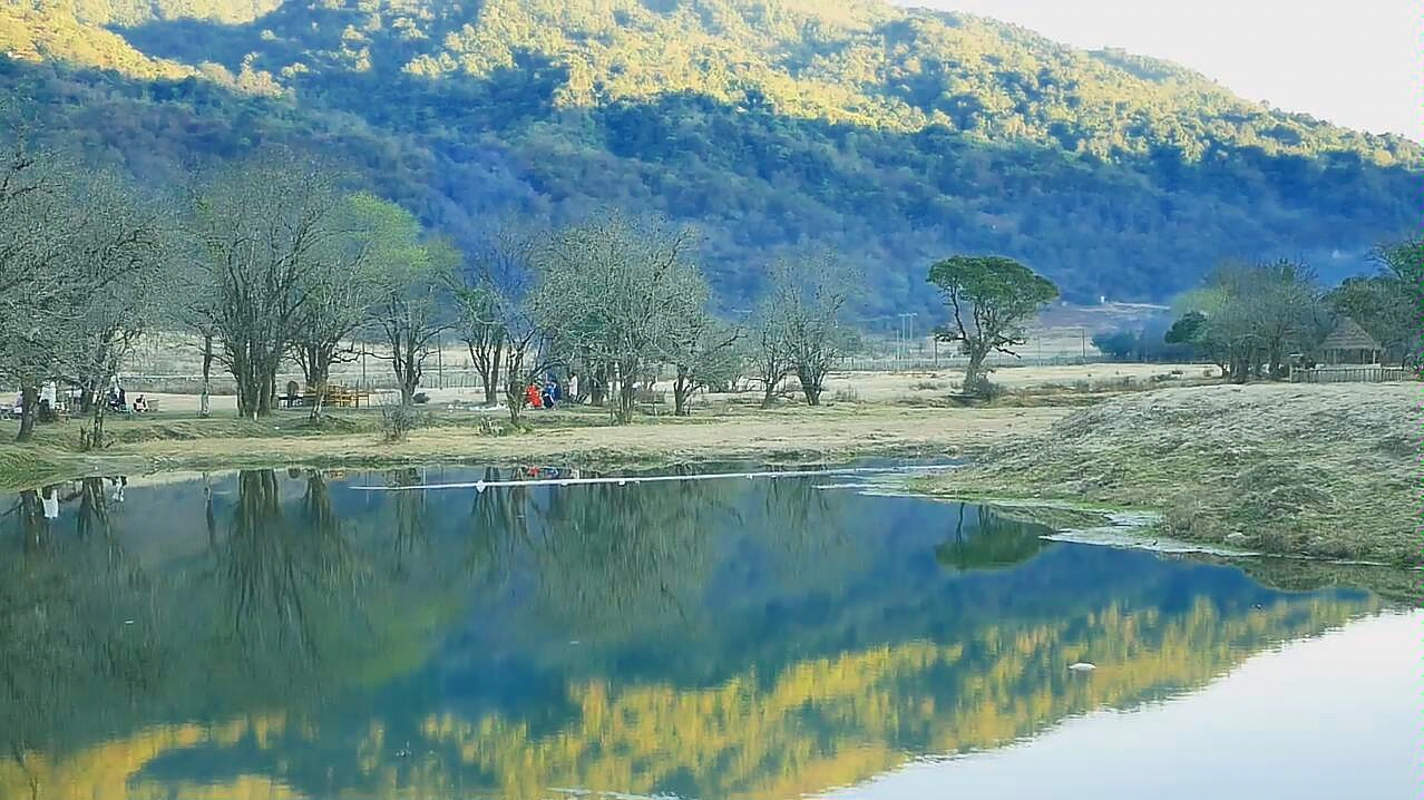 [图]不过是荒唐梦一场