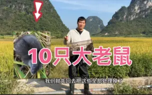 Descargar video: 小伙稻谷地里裝老鼠夹，第二天去收被吓了一跳，大货足足有十几斤