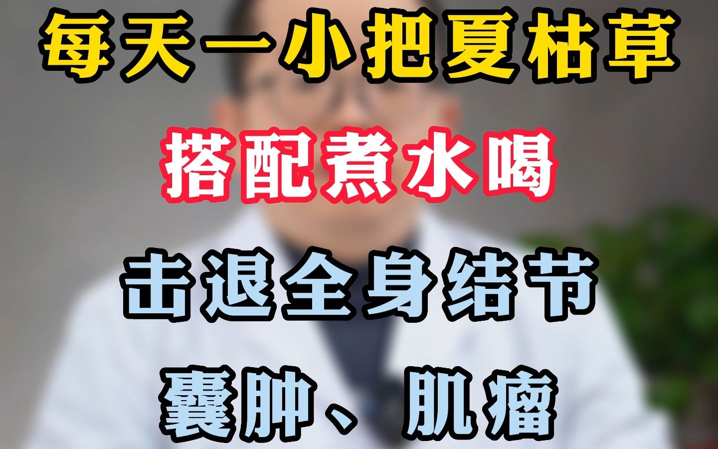 每天一小把夏枯草,搭配煮水喝,击退全身结节、囊肿、肌瘤哔哩哔哩bilibili