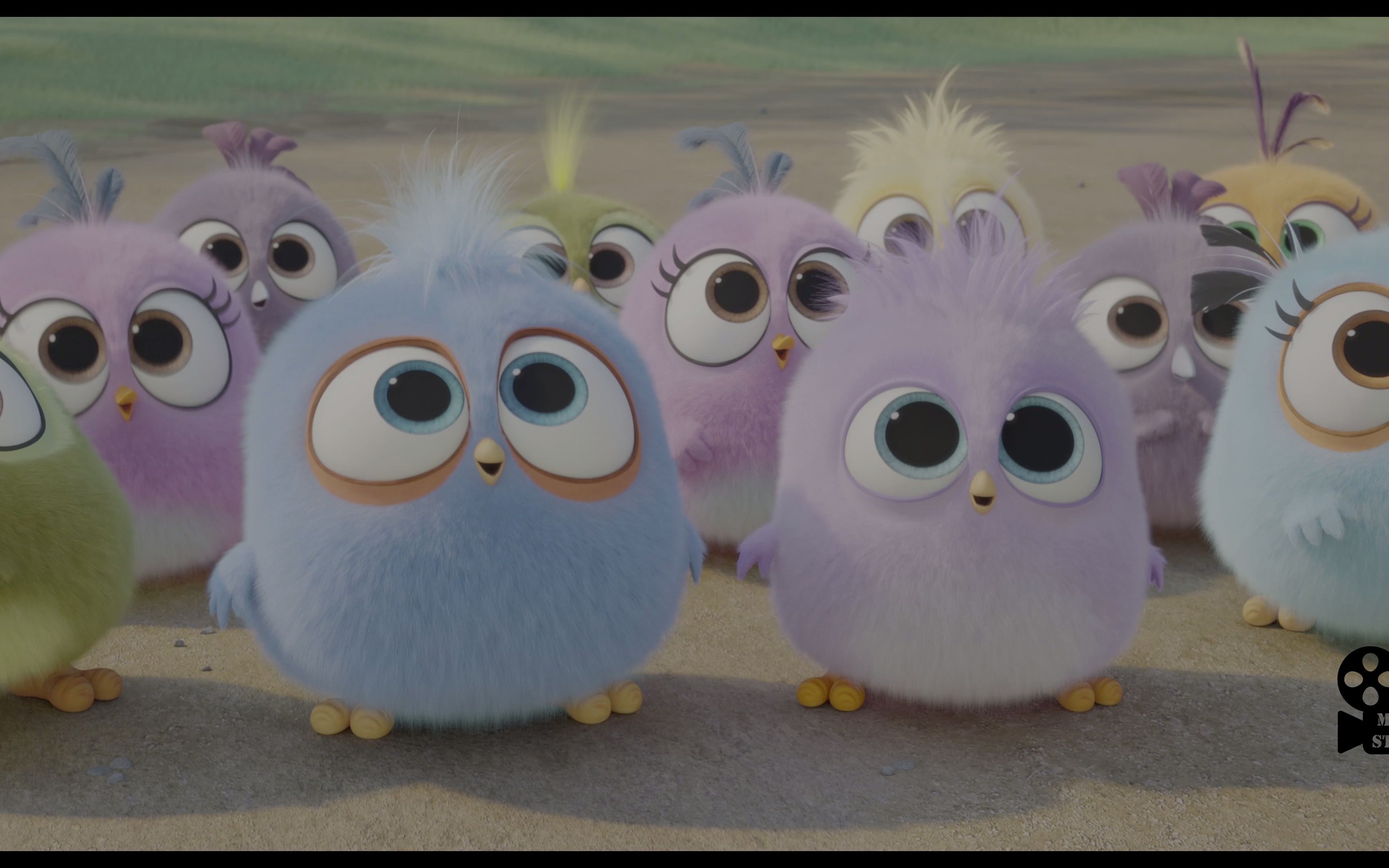 【愤怒的小鸟2】the angry birds movie 2 2019 2160p movie clip 1