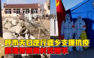 Video herunterladen: 呼市夫妇逆行返乡支援抗疫，翻墙充当饲养员帮隔离村民喂羊