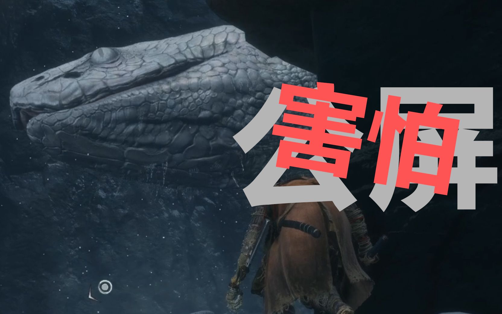 【只狼】萌新迷路见到白蛇人都吓傻了5555555