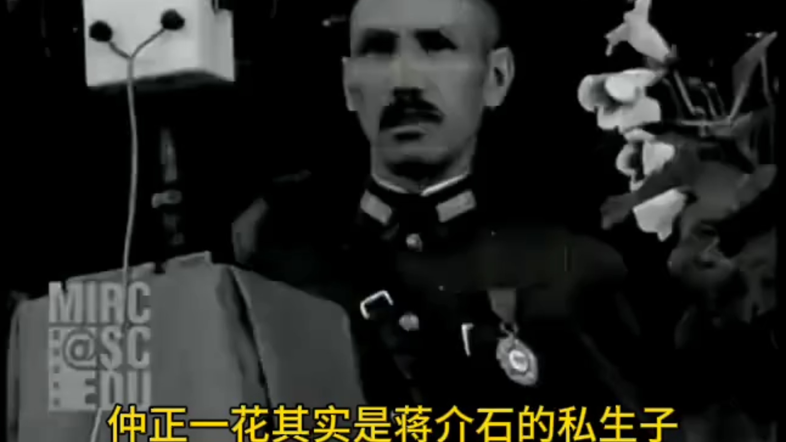 仲正一花其实是蒋介石的私生子