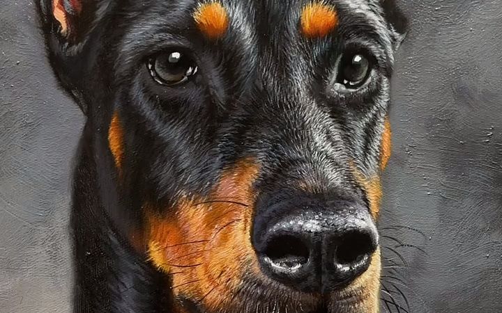 【油画】杜宾犬性格活泼,警惕,坚定,机敏,勇敢而顺从.