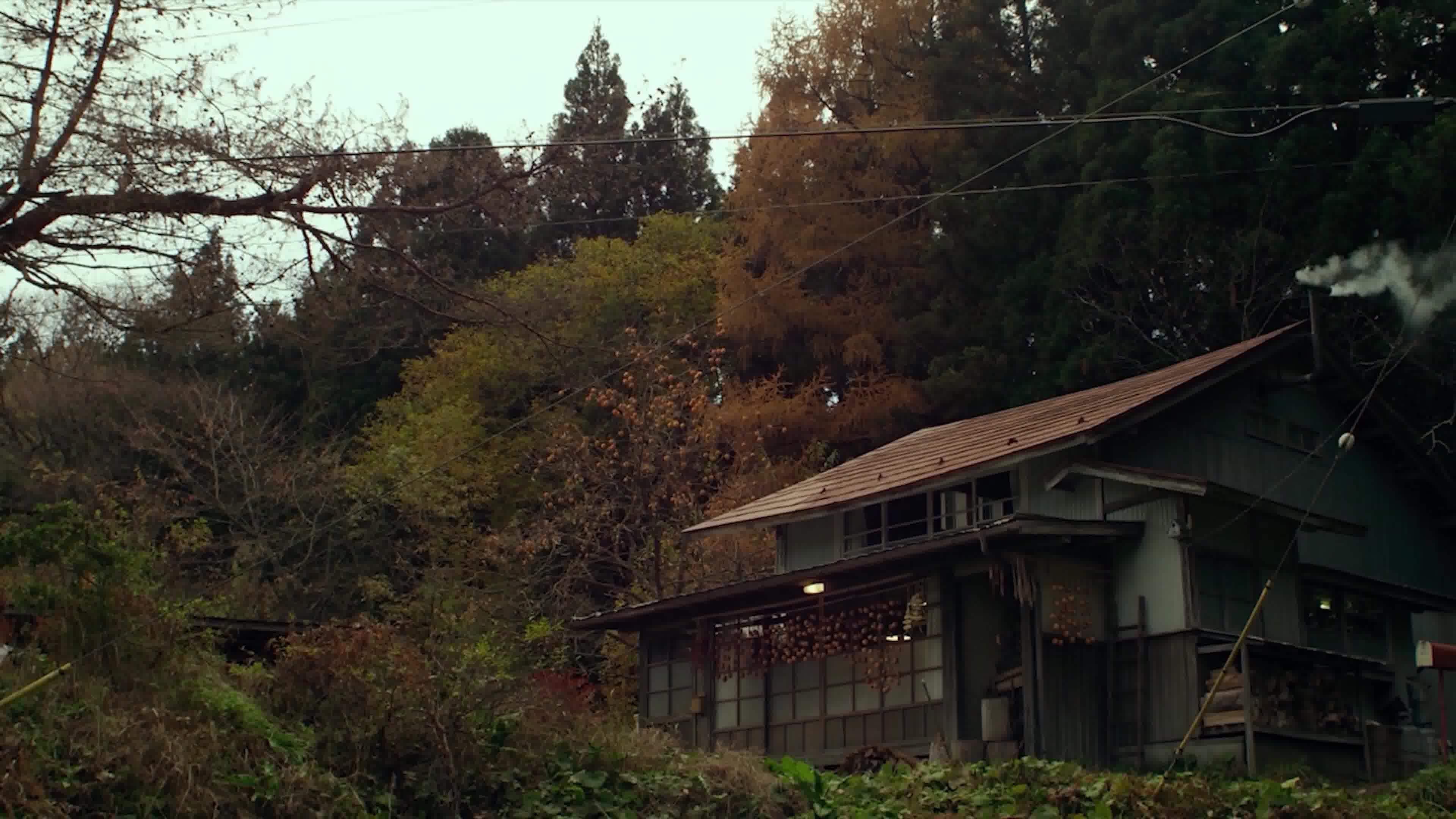 小森林的唯美画面