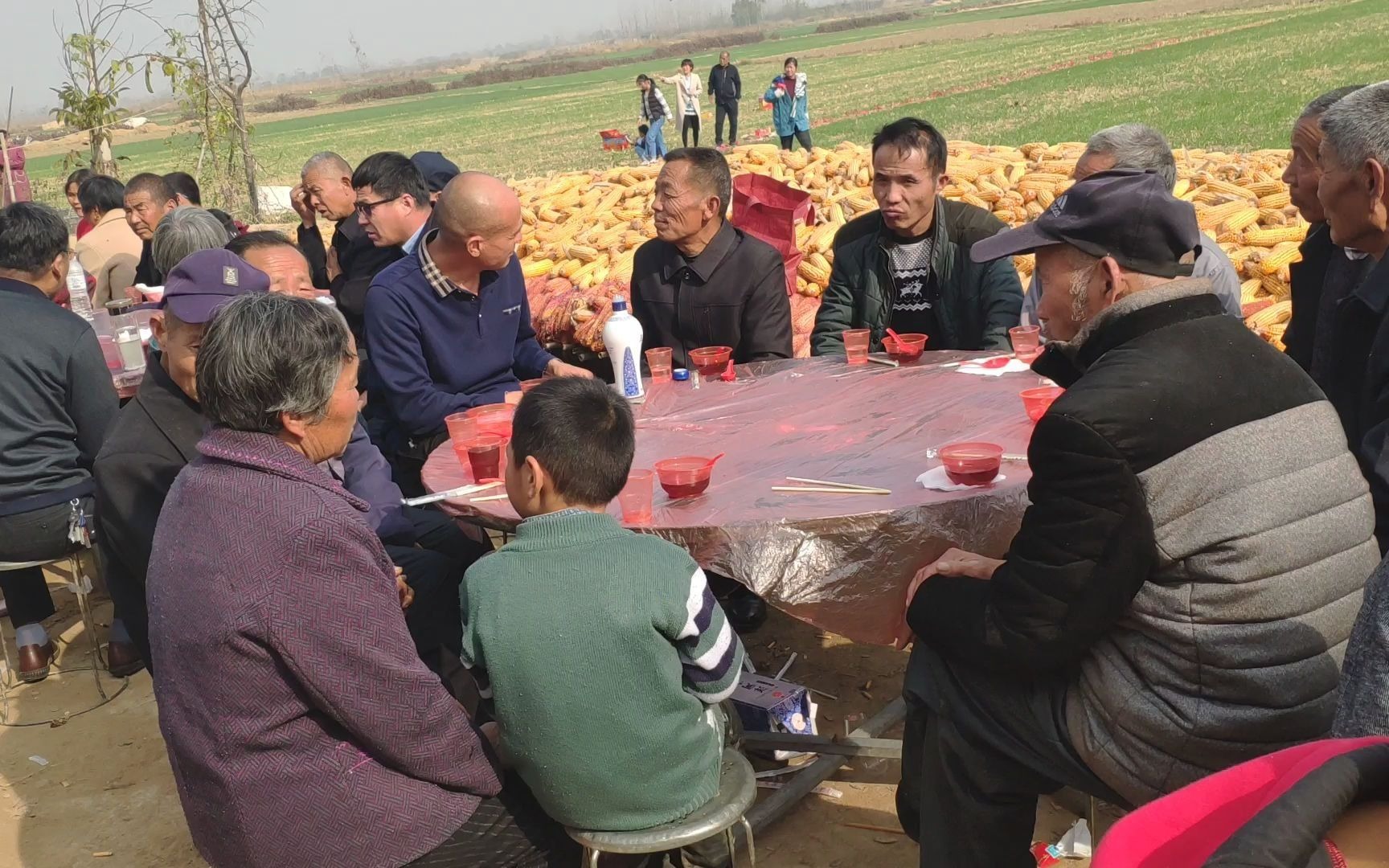 【农村生活】北方农村婚礼:在庄稼地旁吃大席,你见过这么接地气的喜宴