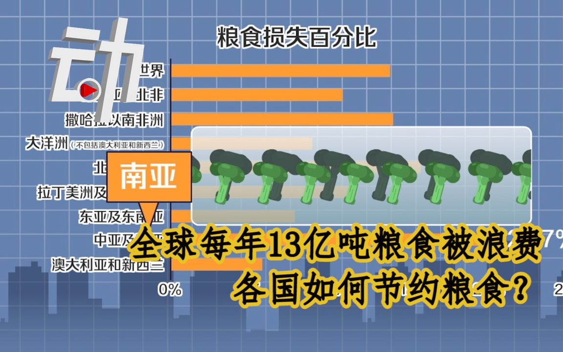 全球每年13亿吨粮食被浪费:各国如何节约粮食?哔哩哔哩bilibili