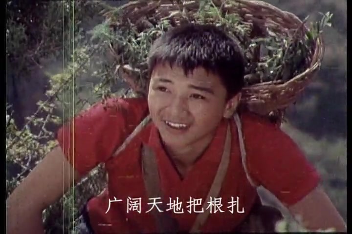 经典电影歌曲1975年故事片《红雨》插曲《赤脚医生向阳花》作词:杨啸、崔嵬,作曲:苏民,领唱:郭兰英哔哩哔哩bilibili