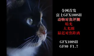 Video herunterladen: 全网首发 富士GFX100SII 动物对焦评测