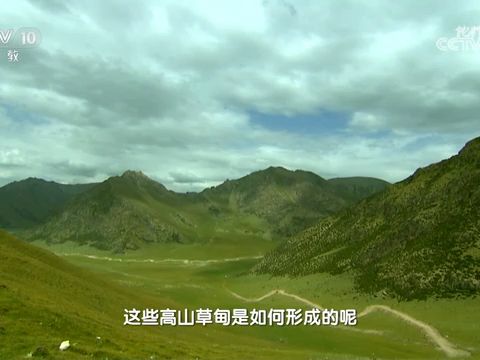 [非地带性植被]高山草甸自然景观形成的原因哔哩哔哩bilibili