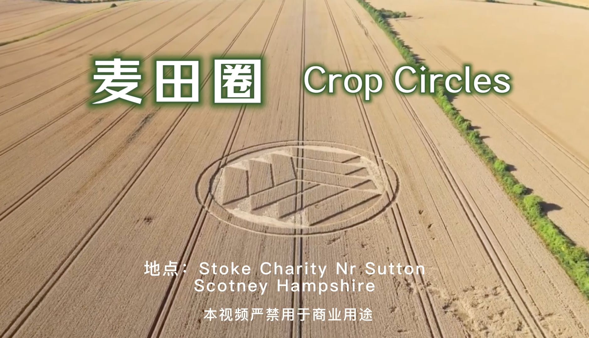 麦田圈 Crop Circle|Stoke Charity Nr Sutton Scotney Hampshire哔哩哔哩bilibili