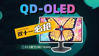 Télécharger la video: 该省省该花花！31.5英寸4K OLED性价比新路子？AOC AG326UD QD-OLED显示器体验评测【猫评】