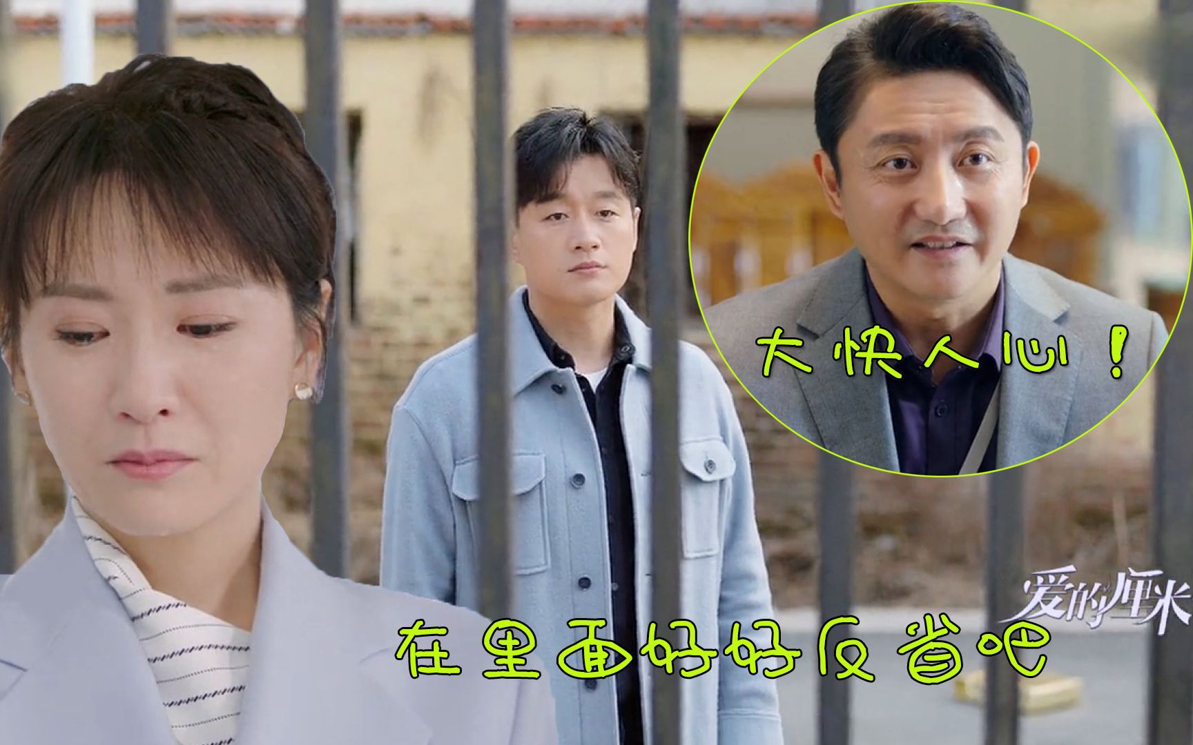 爱的厘米:陈志军揭露蓝俏俏面目,和清风合作,一举将其送进监狱