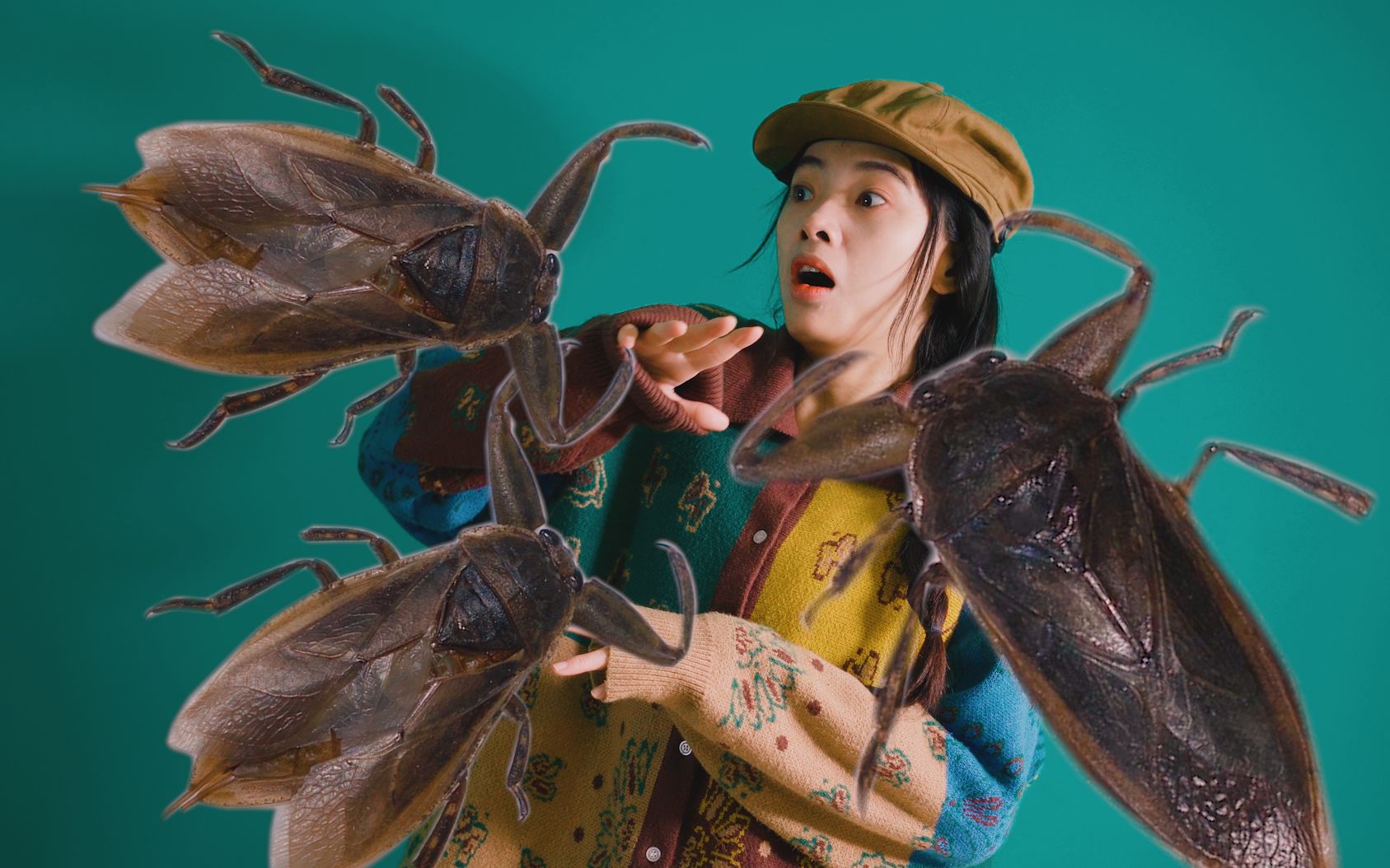 泰国广告蟑螂图片