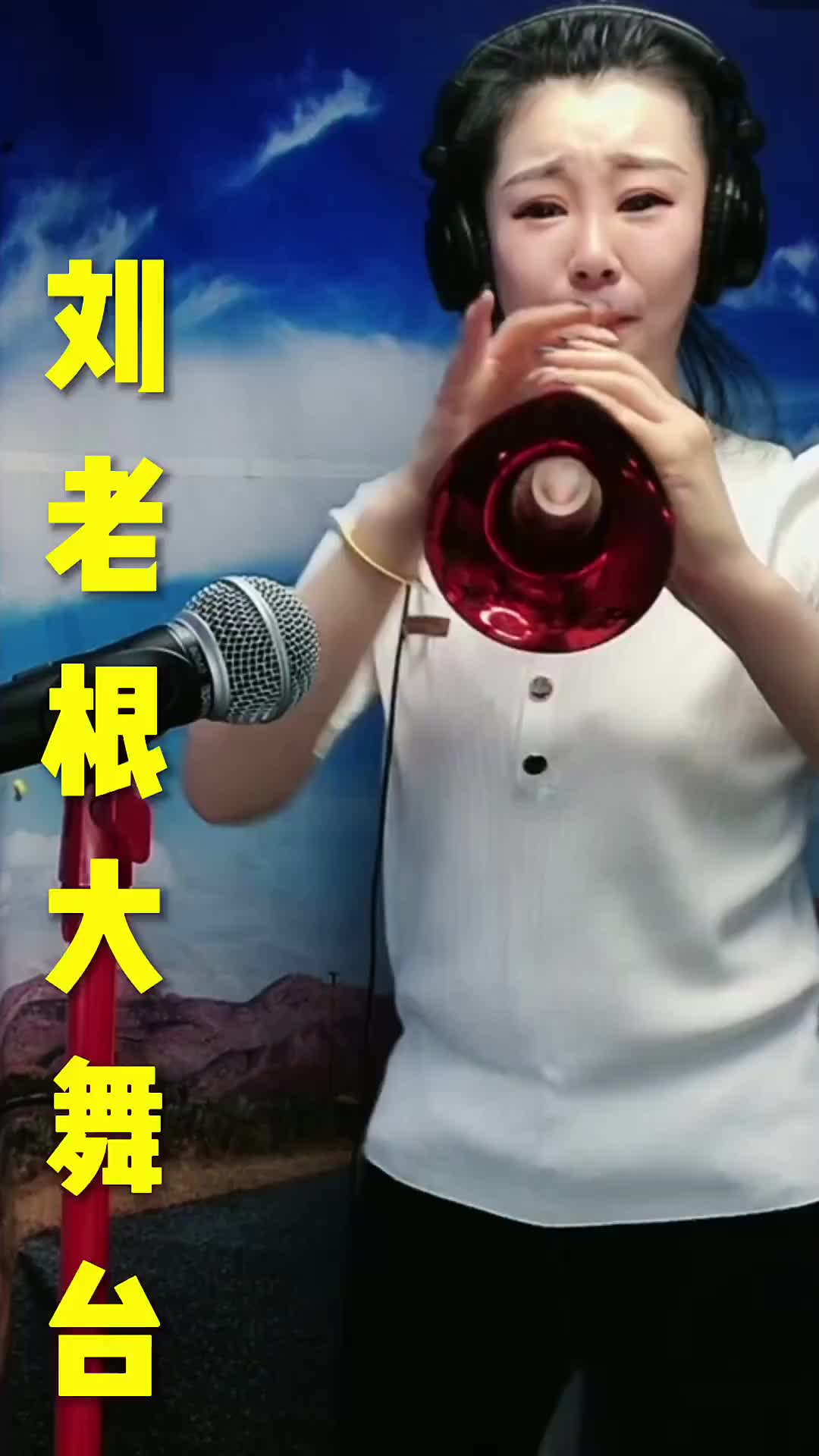 刘老根大舞台用降e水晶唢呐演奏大家可以听一下音质音色