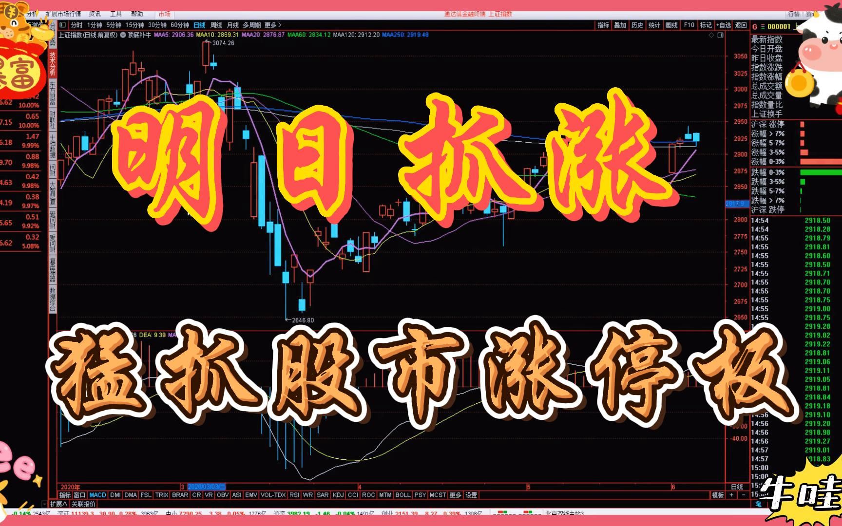 股市涨停板你是怎么抓的,我一直用的"明日抓涨"选股器!