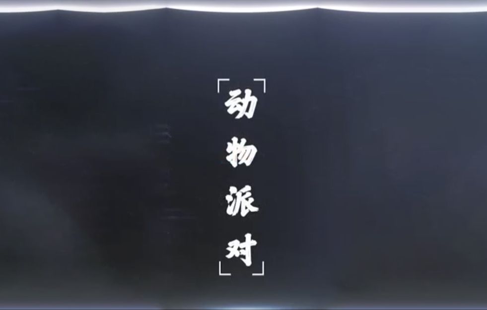 动物派对 1集