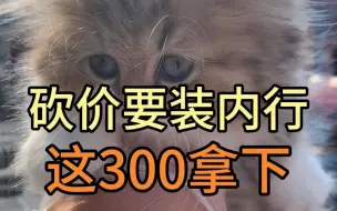 Download Video: 砍价装内行  这300拿下