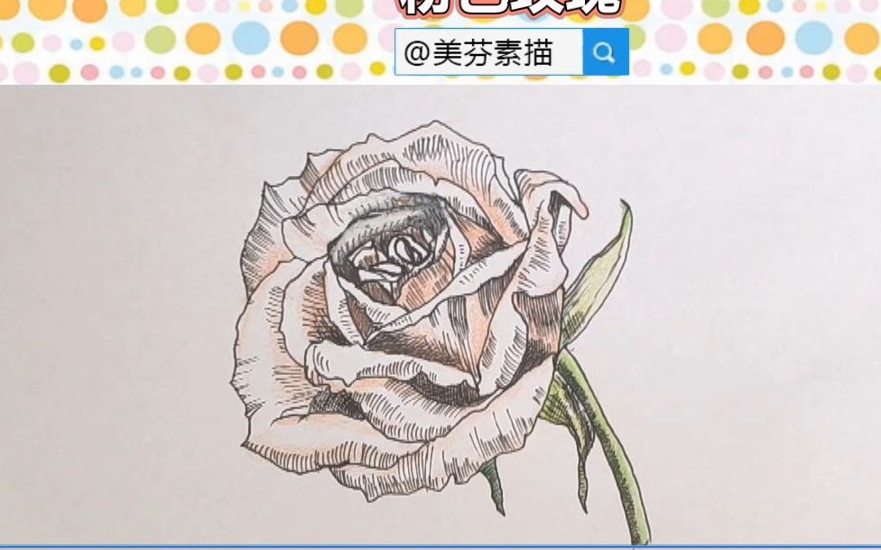 花朵彩铅教程:漂亮又有质感的玫瑰花彩铅素描手绘画画法步骤介绍!哔哩哔哩bilibili