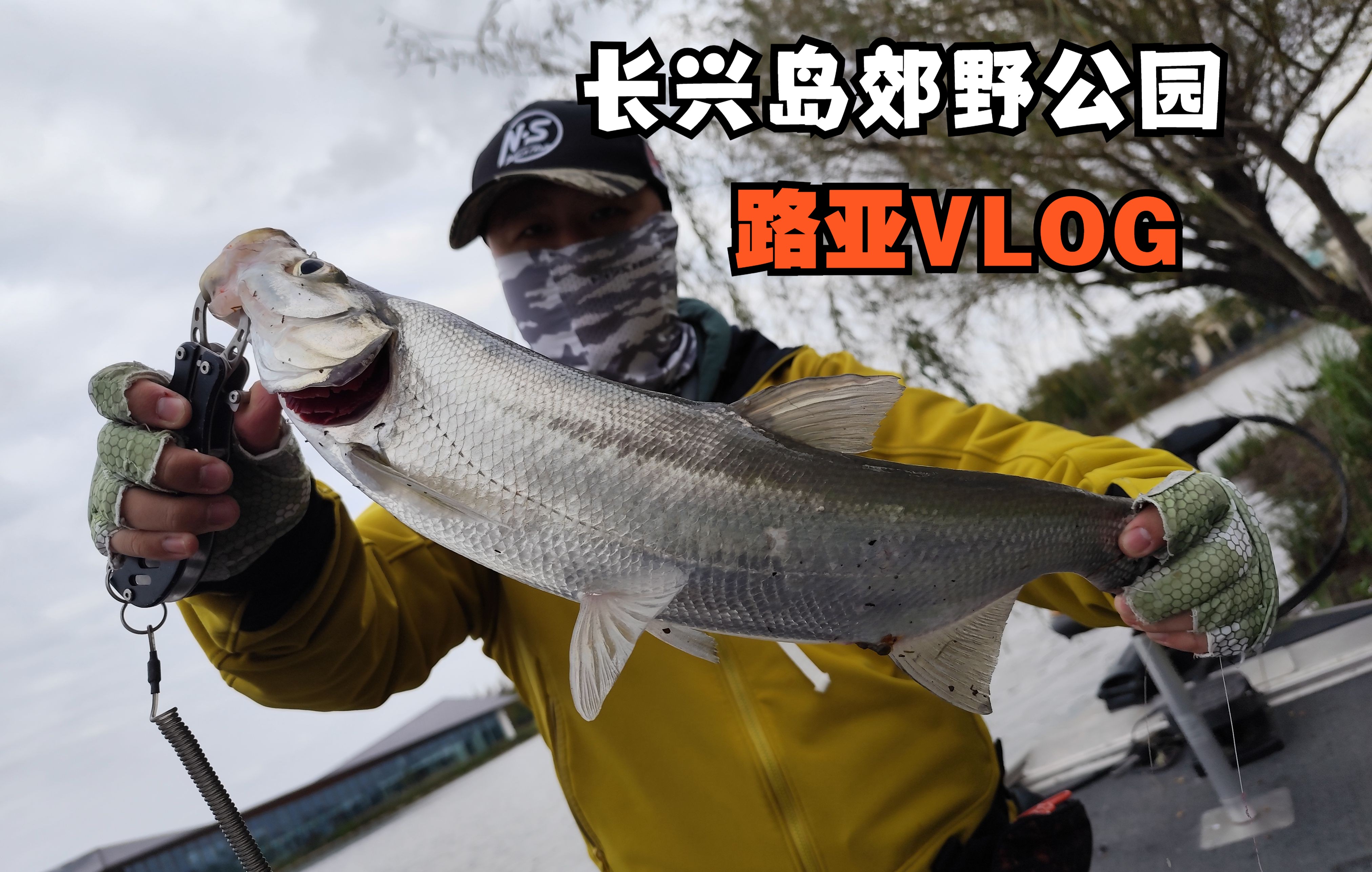 长兴岛郊野公园 秋季路亚模式 痛失巨物 力拔翘嘴