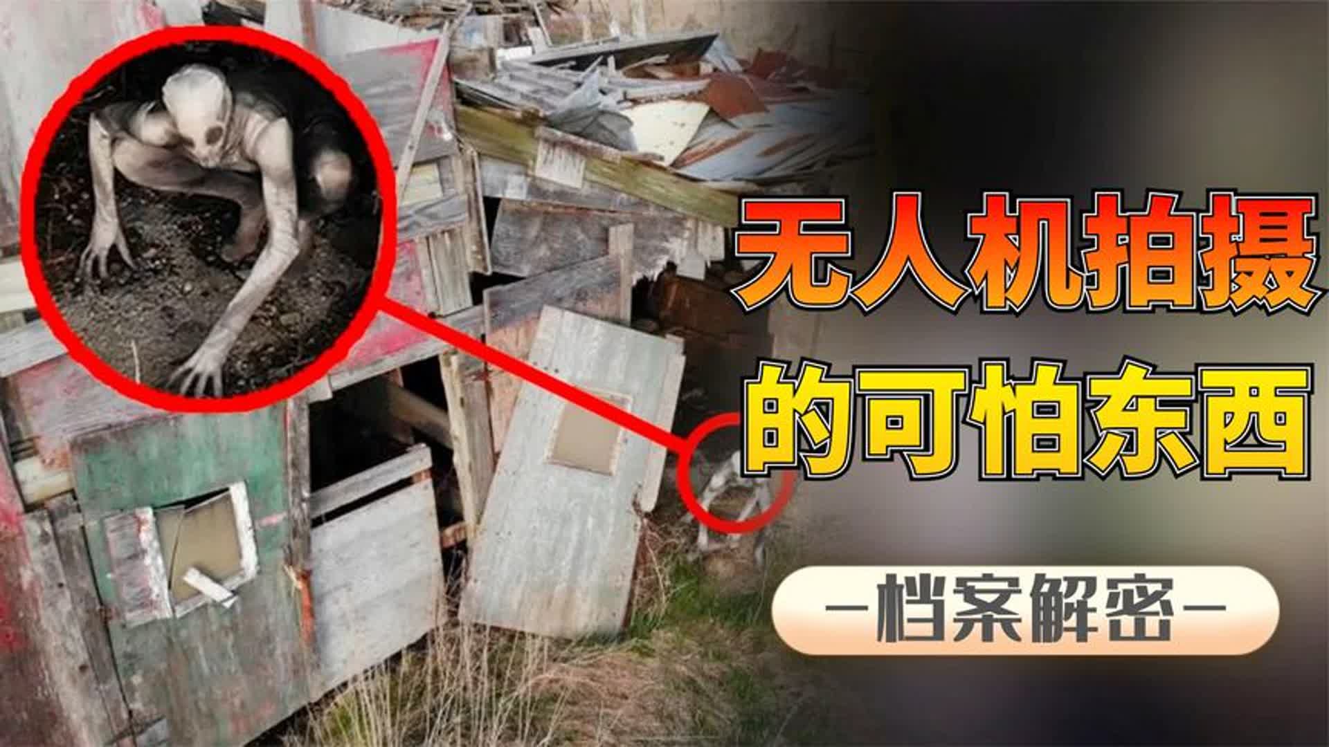 人类拍到的怪物