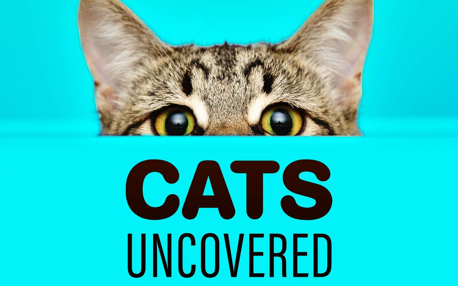 [图]猫的秘密生活 Cats Uncovered