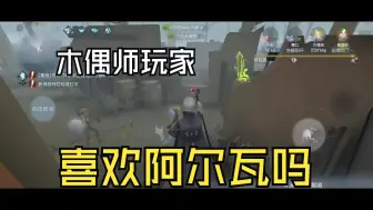 Download Video: 【哥特伞/隐士】木偶师玩家喜欢我们阿尔瓦吗