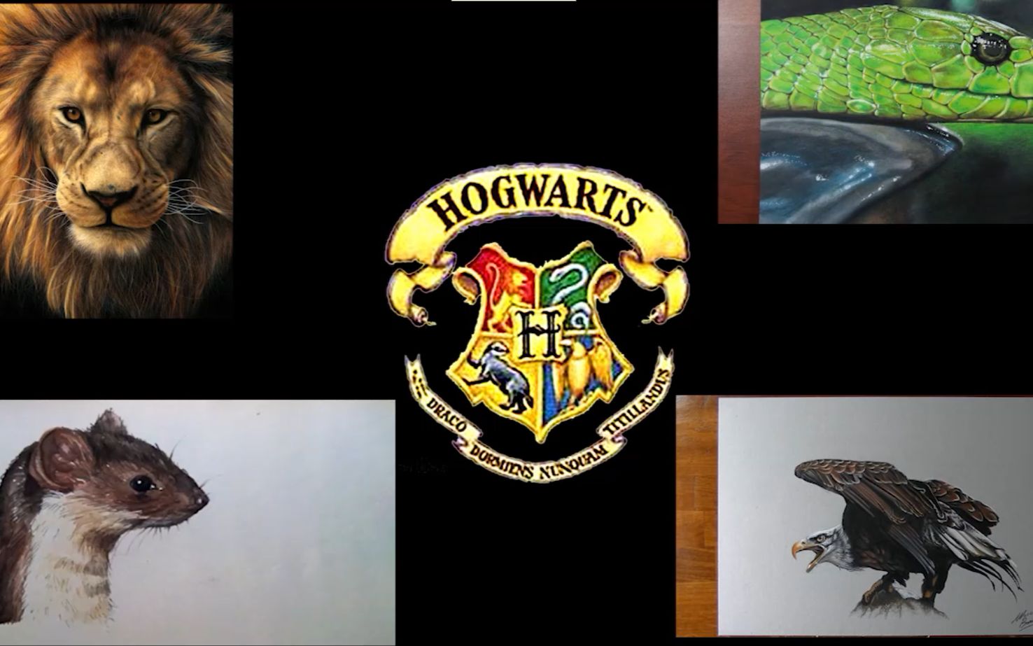 狮子蛇獾鹰霍格沃兹四大学院期末比拼画技
