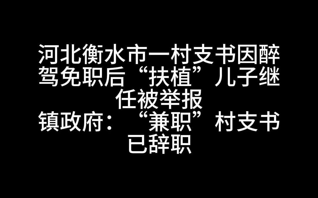 河北衡水市一村支书因醉驾免职后“扶植”儿子继任被举报哔哩哔哩bilibili