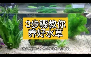 Download Video: 3步教你饲养水草