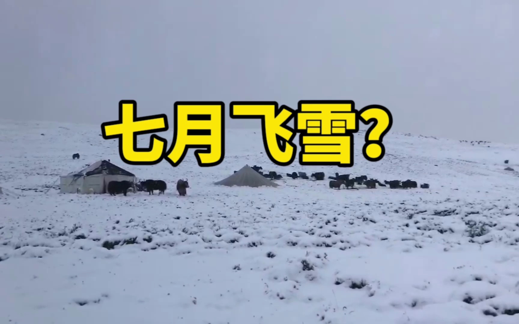 七月飞雪?哔哩哔哩bilibili