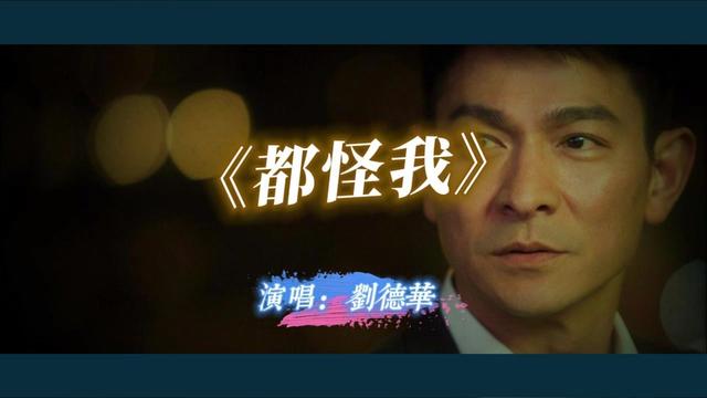 刘德华 《都怪我》