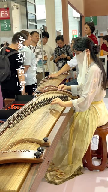"我在上海乐展弹古筝"这套汉服和《棠梨煎雪》的适配度很高