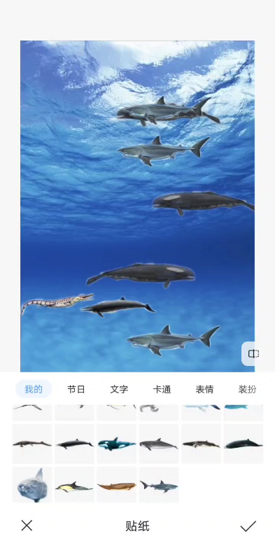 团体战长野鲸vs狭齿拟噬人鲨vs君王马