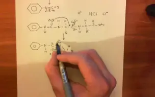 Download Video: 【蛋白测序】Protein sequencing：Edman Degradation Part 2 - 蛋白测序：Edman降解P2